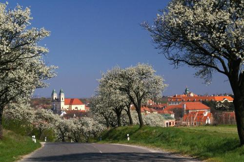 a road with trees and a town in the background at Ubytování Na Vinici in Valtice