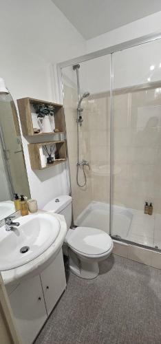 une salle de bain avec toilettes, lavabo et douche dans l'établissement Villa Duchatel Appt 2/4 pers, à Le Mont-Dore