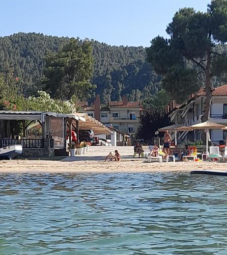 Gallery image of Villa Dimitrios(2 independent apartments 200sq m) in Vourvourou