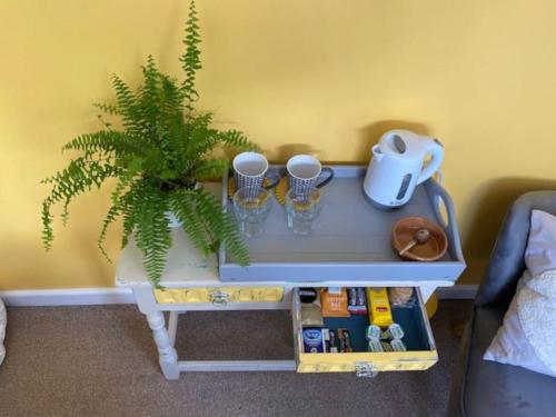 a table with a potted plant and cups on it at Light airy comfy small double room with en-suite in Falmouth