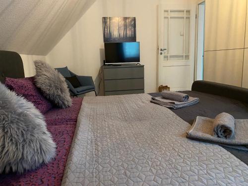 1 dormitorio con 1 cama grande y TV en Pool & Lake Holiday Home en Markkleeberg