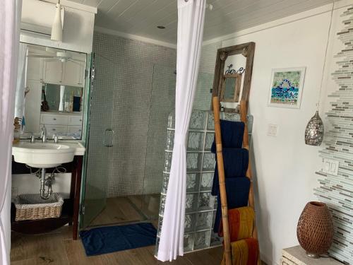 W łazience znajduje się prysznic i umywalka. w obiekcie Beach'nBarefoot (Love Beach) - nestled on the beach w mieście Orange Hill