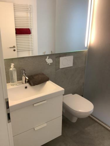 een badkamer met een witte wastafel en een toilet bij Residenz am Trammer See Fewo Seeflair in Plön