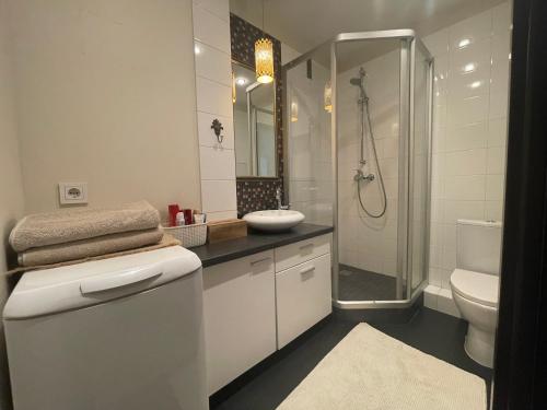 een badkamer met een douche, een toilet en een wastafel bij Gražinos studio 3 in Panevėžys