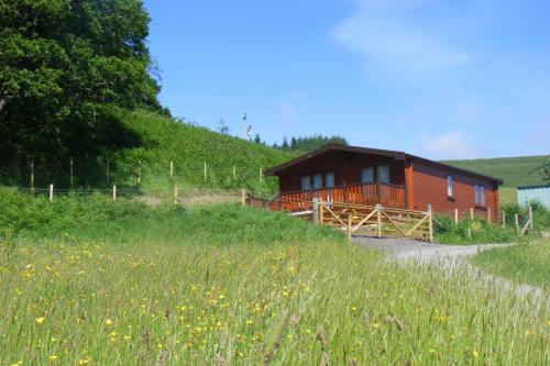 a cabin in the middle of a grassy field at Bothan a' Bhile in Bohenie