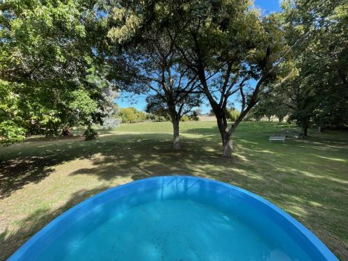 Real de San Carlos的住宿－Cozy Country House in Colonia - Uruguay，一个带树木的庭院中的蓝色浴缸