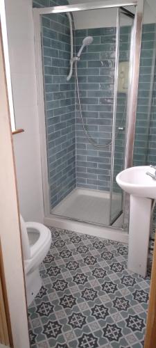 a bathroom with a shower and a toilet and a sink at Sea view room.. in Farrellstown