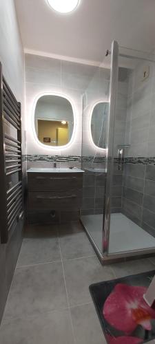 une salle de bain avec douche et miroir dans l'établissement Appartement Domaine des Yearlings DEAUVILLE, à Deauville