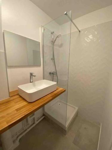 a bathroom with a sink and a glass shower at Superbe appartement cosy Paris/Stade de France in Aubervilliers