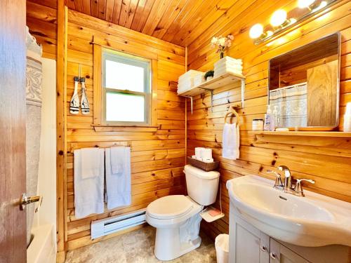 a bathroom with a white toilet and a sink at Stargazers Cove Cottages Blue Heron in Middleton
