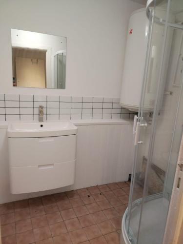 une salle de bain avec un lavabo blanc et une douche dans l'établissement Le Grand apartment dan Dieppe - Charming home 2-8 guests, à Dieppe