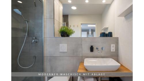 uma casa de banho com um lavatório e um chuveiro em Apartment Leinetal, mit Kamin, Seenähe, Harz Nähe em Northeim
