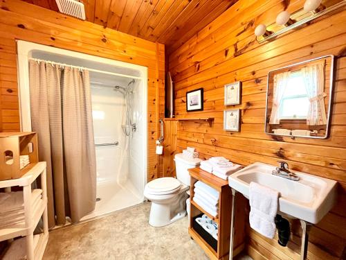 a bathroom with a toilet and a sink and a shower at Stargazers Cove Cottages Otter in Middleton