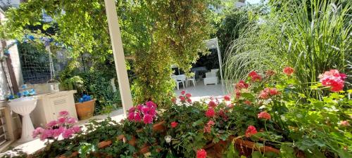 A garden outside Casa di Sofia