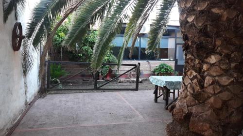 a gate to a patio with a table and a palm tree at Loft Salta in Bahía Blanca