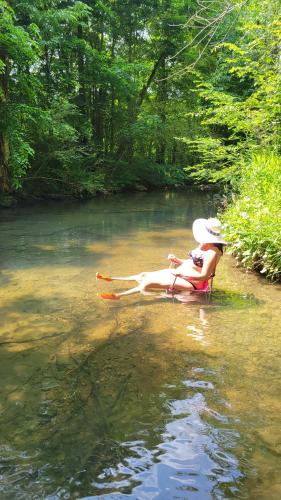 Naturlandskabet i nærheden af landstedet