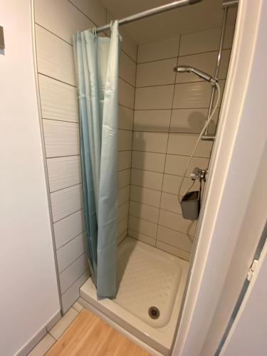 W łazience znajduje się prysznic z zasłoną prysznicową. w obiekcie Kay Louisette w mieście Le Diamant
