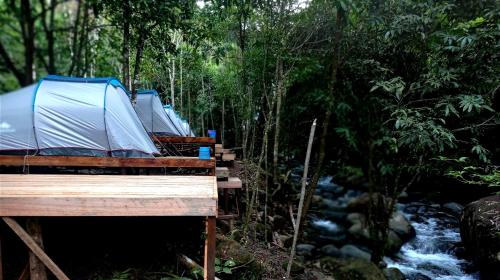 una fila de tiendas en un bosque al lado de un río en Malaris Adventure Camp, 