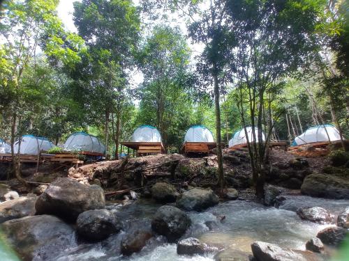 un grupo de tiendas de campaña en un bosque junto a un río en Malaris Adventure Camp, 