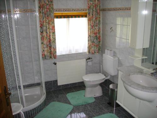 La salle de bains est pourvue de toilettes, d'un lavabo et d'une douche. dans l'établissement Appartement Hasenauer, à Hollersbach im Pinzgau