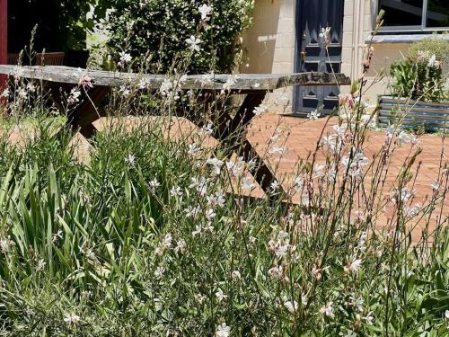 a bench in the middle of a field of flowers at MAGNOLIA HOUSE ON THE CREEK - STANTHORPE in Stanthorpe