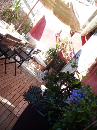 - un patio avec une bande de plantes en pot sur un pont dans l'établissement La maison perchée, à Aigues-Mortes