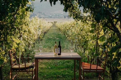 a table with two bottles and two glasses of wine at The Barrels Ms in Gjirokastër