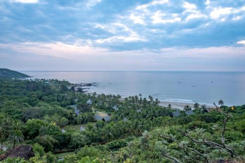 a view of a beach with trees and the ocean at W Goa in Vagator