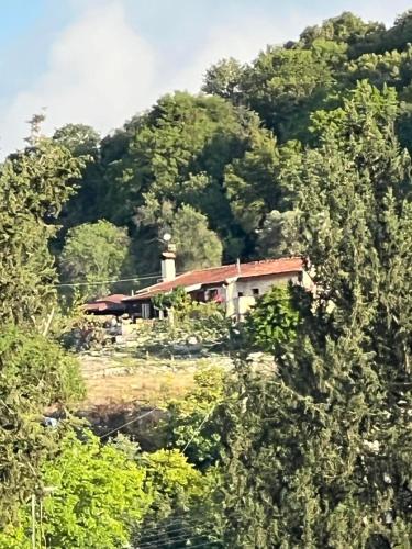 Despina country retreat