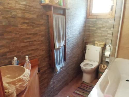 a bathroom with a toilet and a sink and a mirror at Despina country retreat in Paphos City