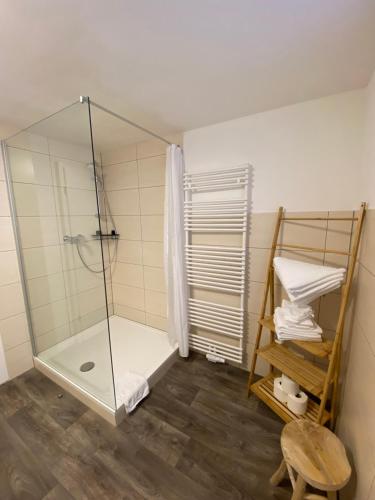 a bathroom with a shower with a glass enclosure at Ferienwohnung Kleinôd Sayn in Bendorf