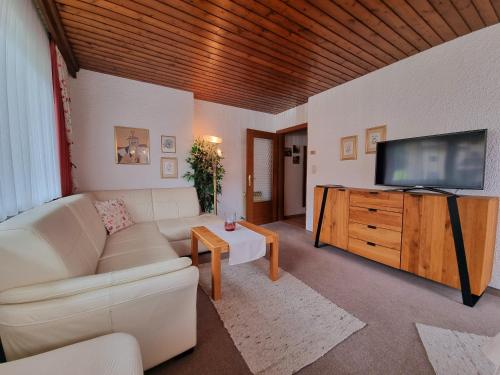sala de estar con sofá y TV de pantalla plana en Appartements Alpenland Pertisau, en Pertisau