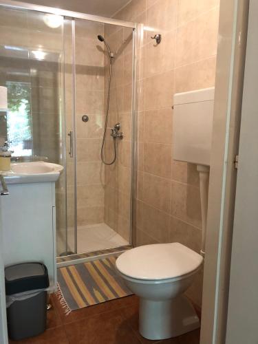 a bathroom with a shower and a toilet and a sink at Apartman Legac in Starigrad