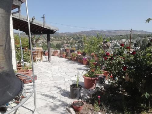 a patio with a bunch of potted plants at Despina country retreat in Paphos City