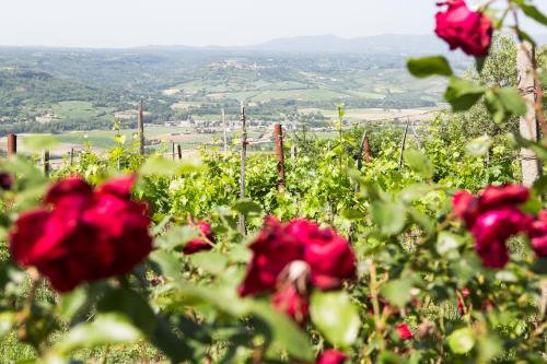 Casale Fornello – Photos 4