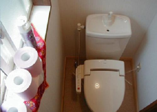 uma casa de banho com um WC e 2 rolos de papel higiénico em のんびれっじ　季流　（きりゅう） em Nasushiobara