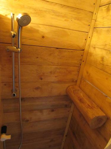 a shower in a room with a wooden wall at LA BAROUD' ER in Voillecomte