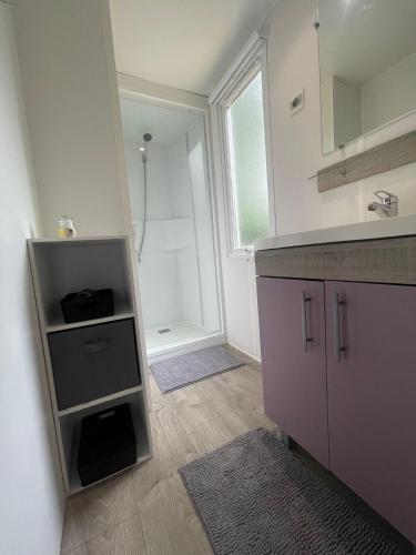 une salle de bain avec un lavabo et une douche dans l'établissement Mobilhome 228 proche du Lac , Tv , clim ect Camping, à La Roque-dʼAnthéron