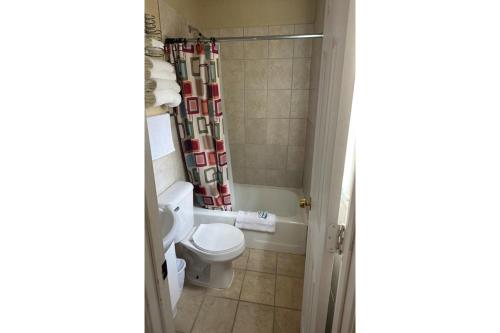 默多的住宿－Love Hotels Murdo on Interstate 90，一间带卫生间和淋浴帘的浴室