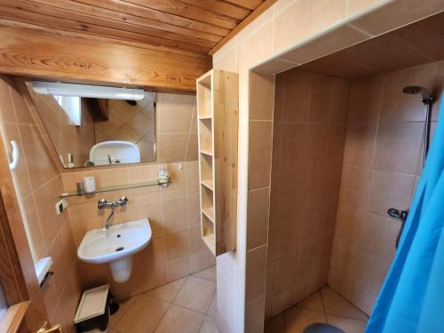 a bathroom with a sink and a toilet in a room at Jak Tu Sielsko in Osiek