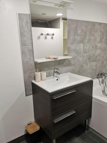 Rougemont的住宿－Studio au calme avec terrasse，浴室配有盥洗盆、镜子和浴缸