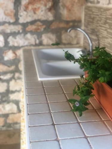a bathroom with a sink with a plant next to it at Villa Coco Monopoli in Monopoli