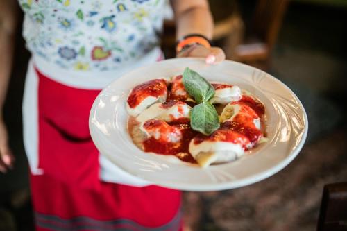 a person holding a plate of food on a plate at Nordowi Dwór in Celbowo