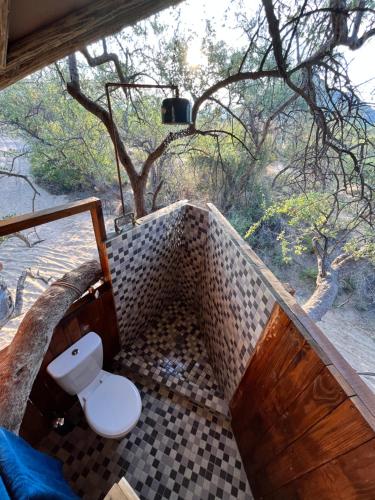 a bathroom with a toilet and a tree at Ondudu Safari Lodge in Omaruru