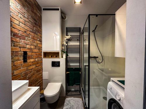 W łazience znajduje się toaleta i przeszklony prysznic. w obiekcie Apartament Zielone Fotele Starówka w Olsztynie
