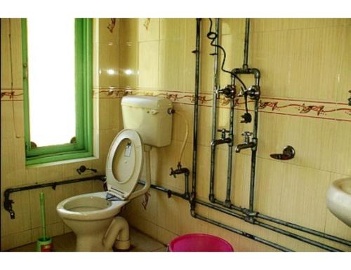 a bathroom with a toilet and a sink at Tashi Ghatsal, Himachal Pradesh in Kyelang