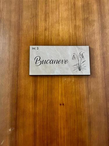 Bucaneve – Photos 2