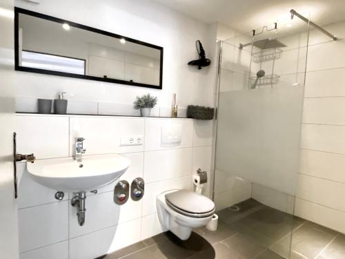 La salle de bains est pourvue de toilettes, d'un lavabo et d'une douche. dans l'établissement *Schwarzwald-Apartment 1° *, à Elzach
