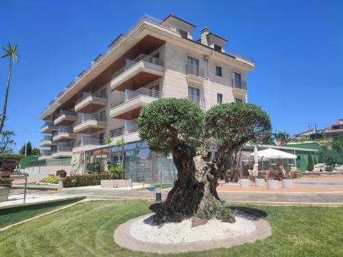 a tree in front of a large building at Apartamentos Marsil in Montalvo