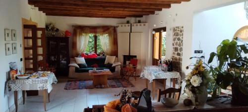 Faedis的住宿－Corte dei Molini，带沙发和桌子的客厅